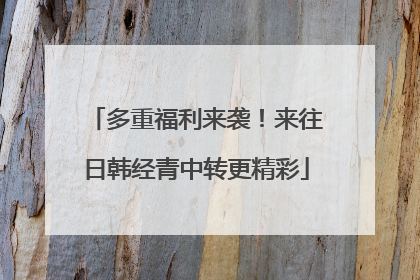 多重福利来袭！来往日韩经青中转更精彩