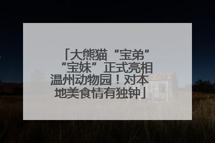 大熊猫“宝弟”“宝妹”正式亮相温州动物园！对本地美食情有独钟