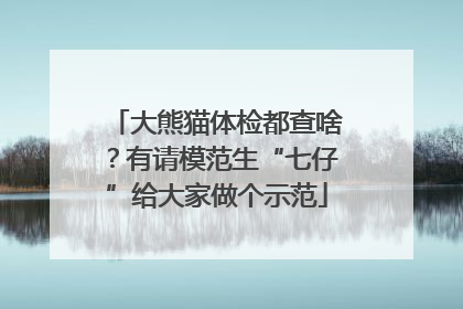 大熊猫体检都查啥？有请模范生“七仔”给大家做个示范