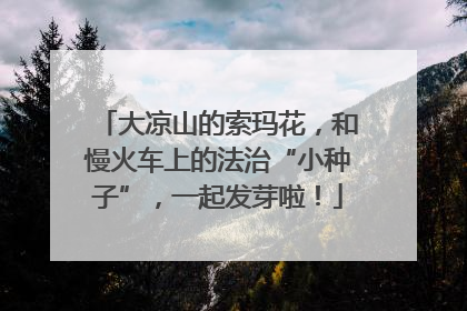 大凉山的索玛花，和慢火车上的法治“小种子”，一起发芽啦！