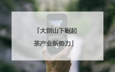 大别山下崛起茶产业新势力