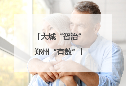 大城“智治” 郑州“有数”