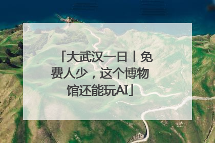 大武汉一日丨免费人少，这个博物馆还能玩AI