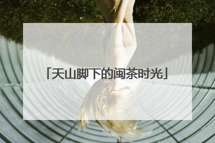 天山脚下的闽茶时光