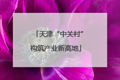 天津“中关村”构筑产业新高地