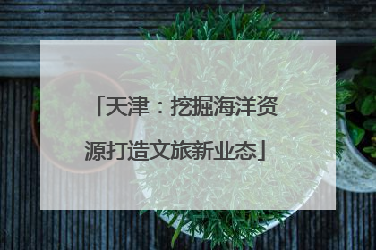 天津：挖掘海洋资源打造文旅新业态