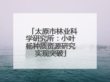 太原市林业科学研究所：小叶杨种质资源研究实现突破