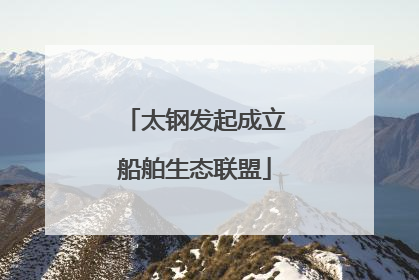 太钢发起成立船舶生态联盟