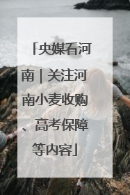 央媒看河南｜关注河南小麦收购、高考保障等内容