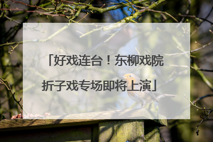 好戏连台！东柳戏院折子戏专场即将上演
