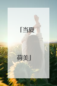 当夏荷美