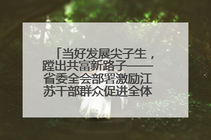 当好发展尖子生，蹚出共富新路子——省委全会部署激励江苏干部群众促进全体人民共同富裕