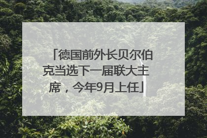 德国前外长贝尔伯克当选下一届联大主席，今年9月上任