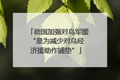 德国加强对乌军援 “是为减少对乌经济援助作铺垫”
