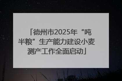 德州市2025年“吨半粮”生产能力建设小麦测产工作全面启动