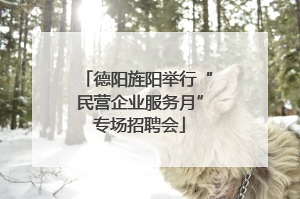 德阳旌阳举行“民营企业服务月”专场招聘会