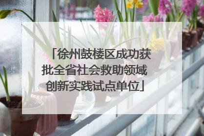 徐州鼓楼区成功获批全省社会救助领域创新实践试点单位