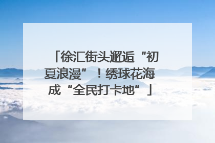 徐汇街头邂逅“初夏浪漫”！绣球花海成“全民打卡地”