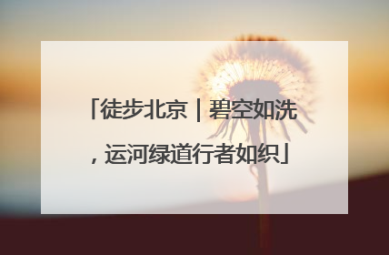 徒步北京｜碧空如洗，运河绿道行者如织