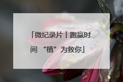 微纪录片丨跑赢时间 “植”为救你