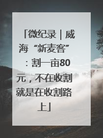微纪录｜威海“新麦客”：割一亩80元，不在收割就是在收割路上