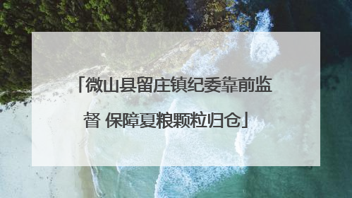 微山县留庄镇纪委靠前监督 保障夏粮颗粒归仓