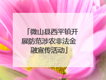 微山县西平镇开展防范涉农非法金融宣传活动