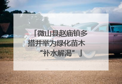 微山县赵庙镇多措并举为绿化苗木“补水解渴”