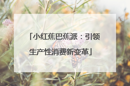 小红蕉巴蕉派：引领生产性消费新变革