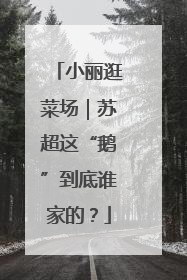 小丽逛菜场｜苏超这“鹅”到底谁家的？