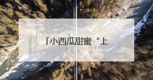 小西瓜甜蜜“上市”，顺义区北务镇进入采摘季