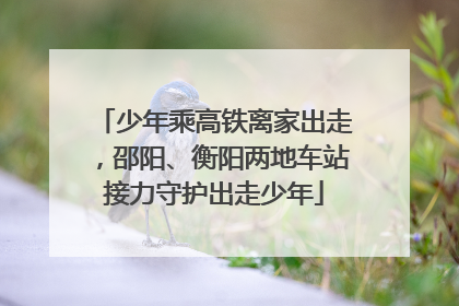 少年乘高铁离家出走，邵阳、衡阳两地车站接力守护出走少年