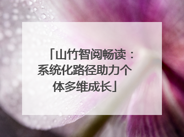 山竹智阅畅读：系统化路径助力个体多维成长