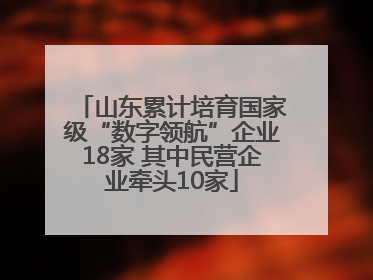 山东累计培育国家级“数字领航”企业18家 其中民营企业牵头10家
