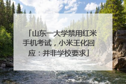 山东一大学禁用红米手机考试，小米王化回应：并非学校要求