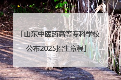 山东中医药高等专科学校公布2025招生章程