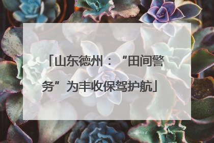 山东德州：“田间警务”为丰收保驾护航