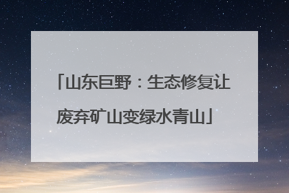 山东巨野：生态修复让废弃矿山变绿水青山