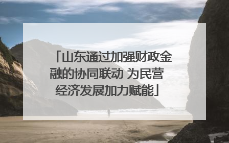 山东通过加强财政金融的协同联动 为民营经济发展加力赋能