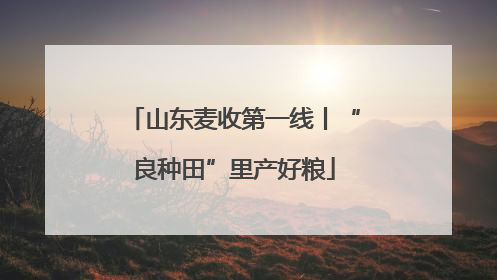 山东麦收第一线丨“良种田”里产好粮