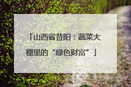 山西省昔阳：蔬菜大棚里的“绿色财富”