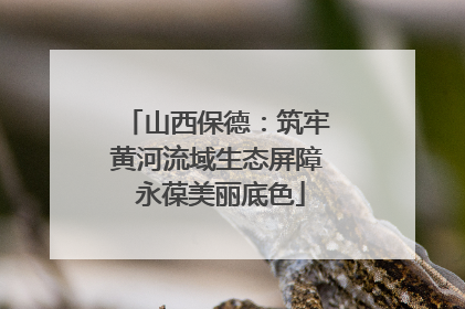 山西保德：筑牢黄河流域生态屏障 永葆美丽底色