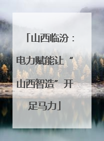山西临汾：电力赋能让“山西智造”开足马力