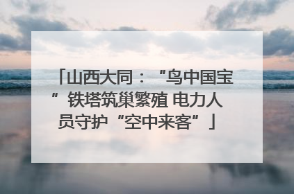 山西大同：“鸟中国宝”铁塔筑巢繁殖 电力人员守护“空中来客”