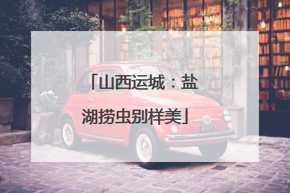 山西运城：盐湖捞虫别样美