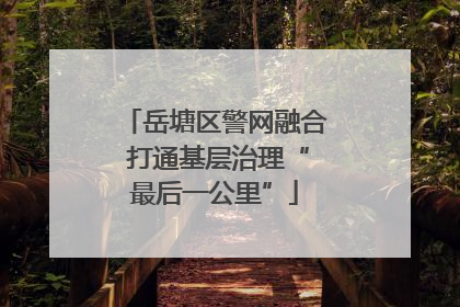 岳塘区警网融合 打通基层治理“最后一公里”