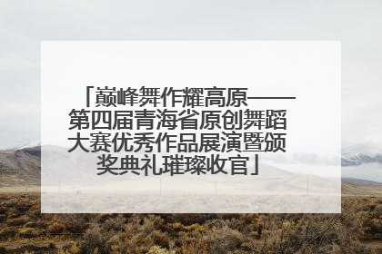 巅峰舞作耀高原——第四届青海省原创舞蹈大赛优秀作品展演暨颁奖典礼璀璨收官