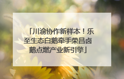 川渝协作新样本！乐至生态白鹅牵手荣昌卤鹅点燃产业新引擎