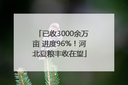 已收3000余万亩 进度96%！河北夏粮丰收在望