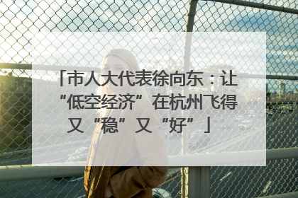 市人大代表徐向东：让“低空经济”在杭州飞得又“稳”又“好”
